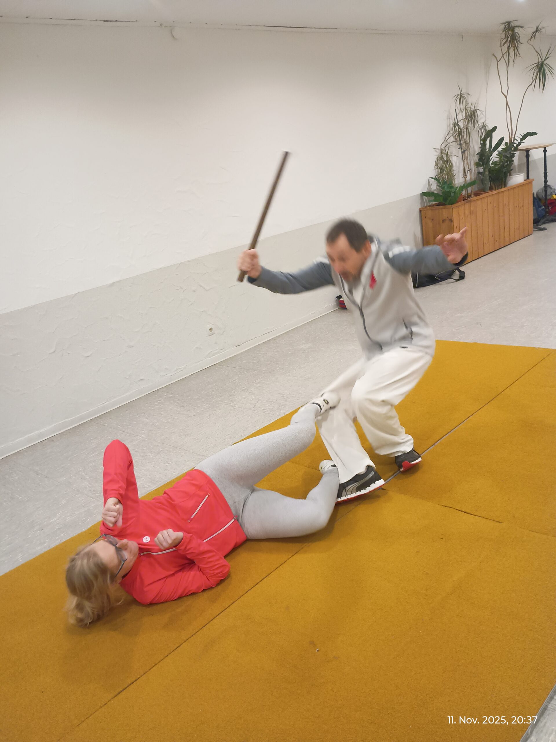 IMG_20251111_203744140