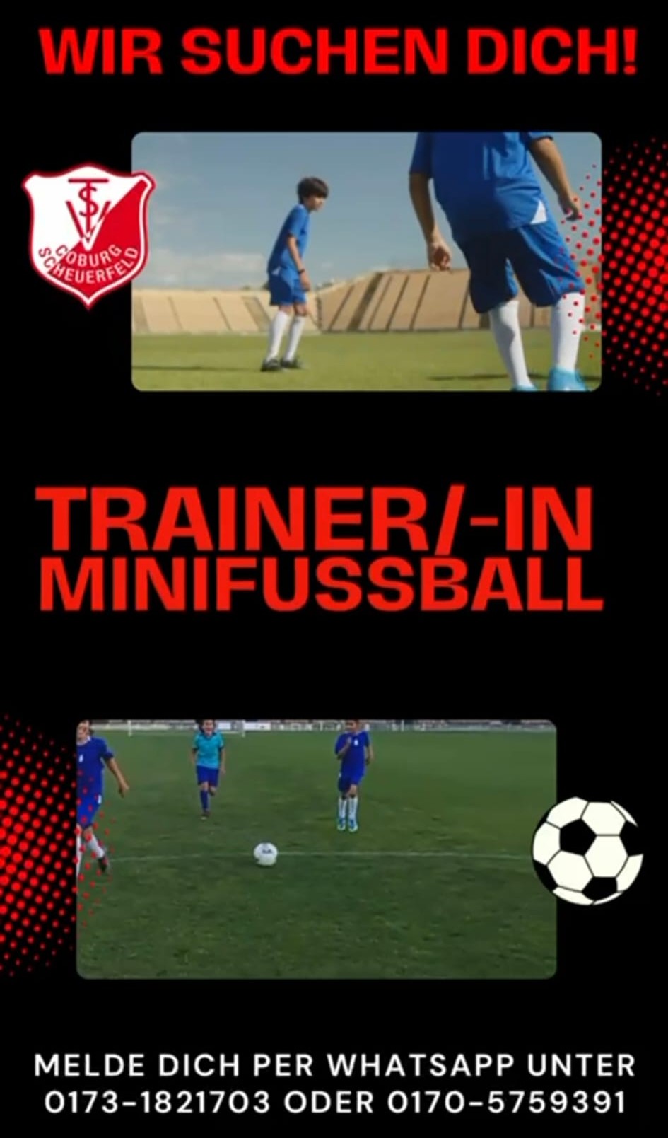 Mehr über den Artikel erfahren Wir suchen dich!